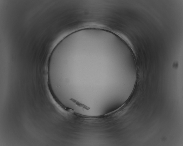 X0000089661391200707191639