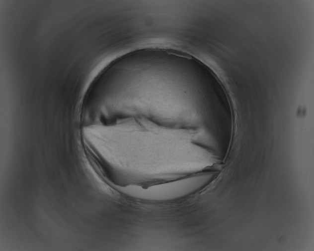 X0000089661392200707191639