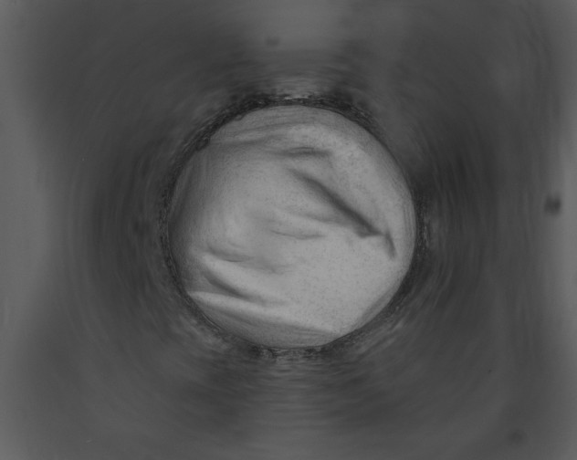 X0000089661393200707191638