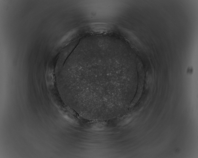 X0000089661394200707191638