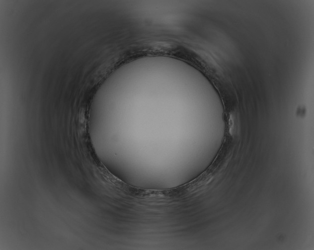 X0000089661395200707191638