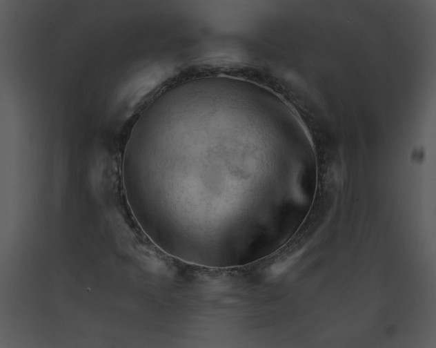 X0000089661397200707191638