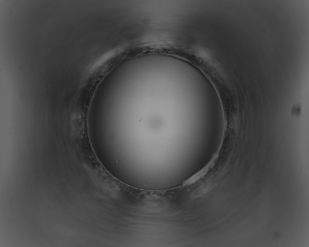 X0000089661398200707191638