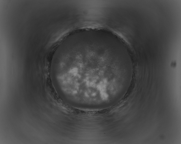 X0000089661399200707191638