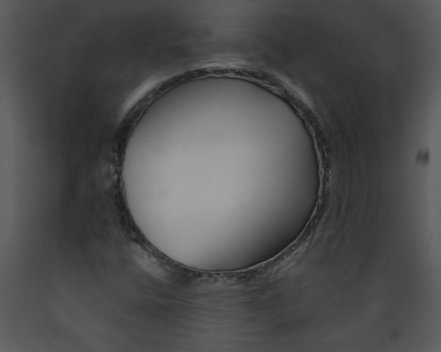 X0000089661400200707191638