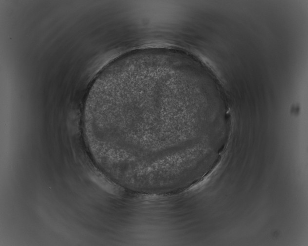 X0000089661401200707191638