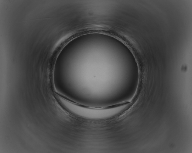 X0000089661402200707191638