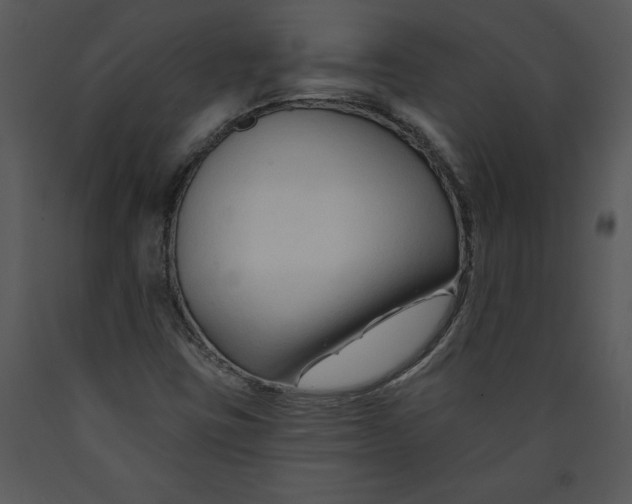 X0000089661403200707191638