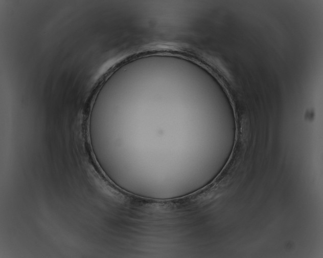 X0000089661404200707191638