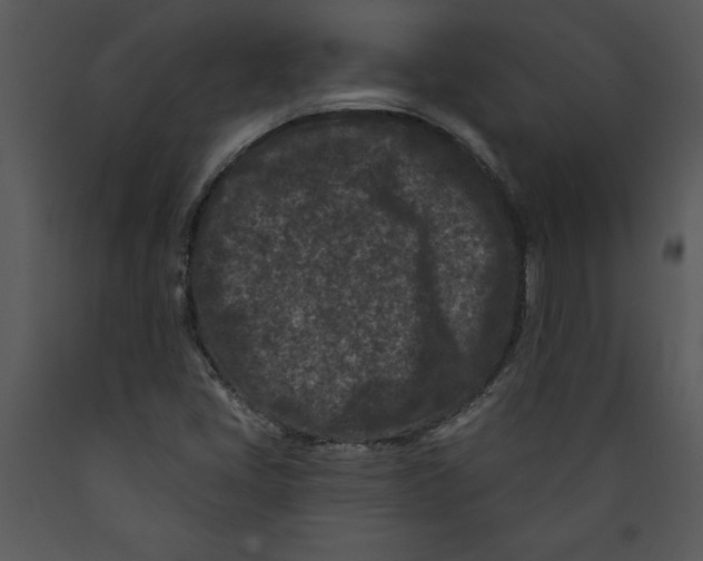 X0000089661405200707191638