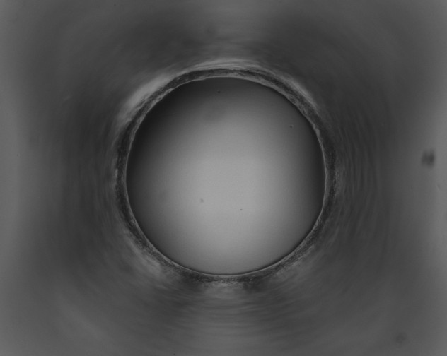 X0000089661406200707191638