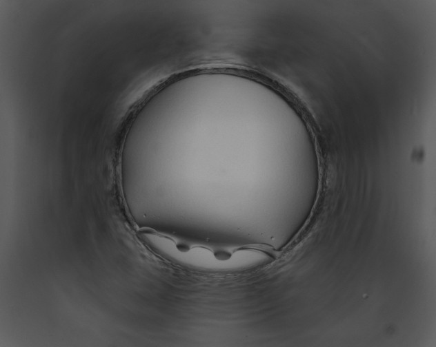 X0000089661407200707191638