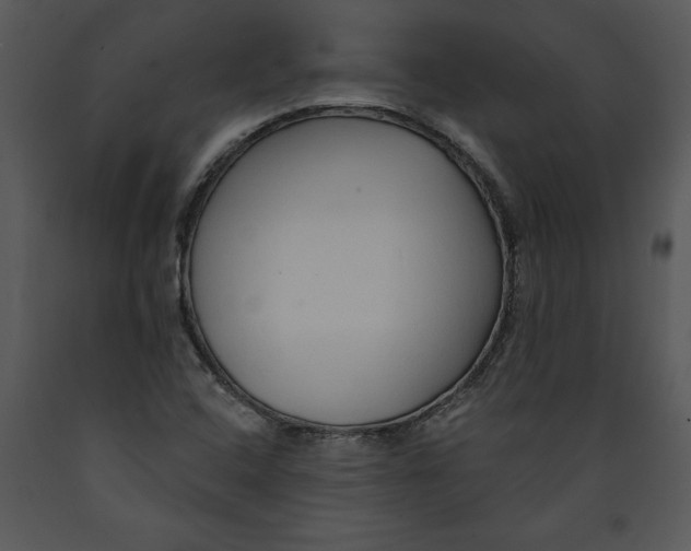 X0000089661408200707191638