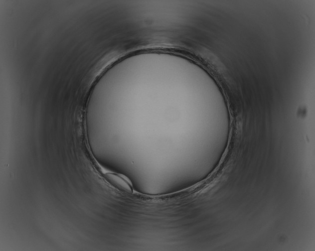 X0000089661409200707191638