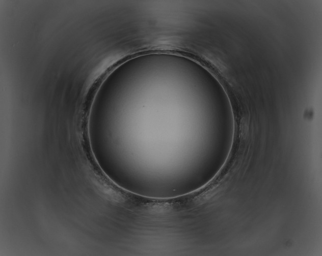 X0000089661410200707191638