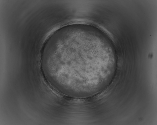 X0000089661411200707191638