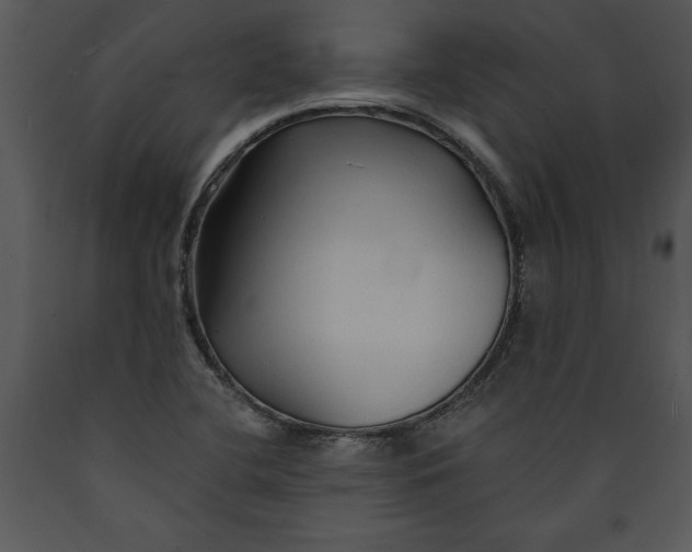 X0000089661412200707191638