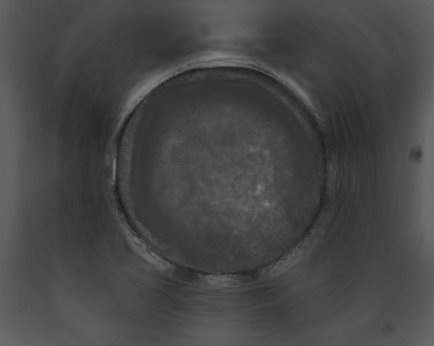 X0000089661413200707191638