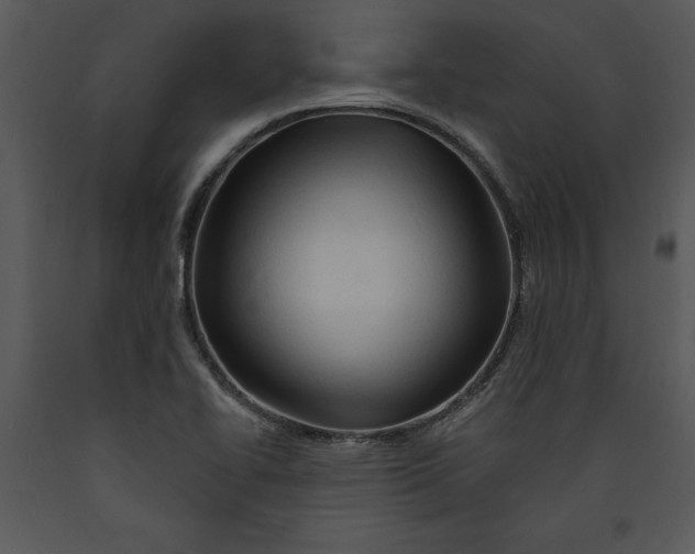 X0000089661414200707191638