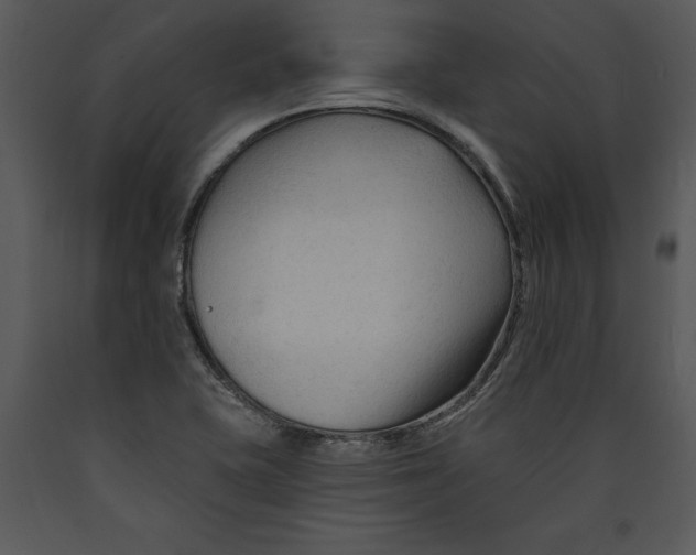 X0000089661415200707191638