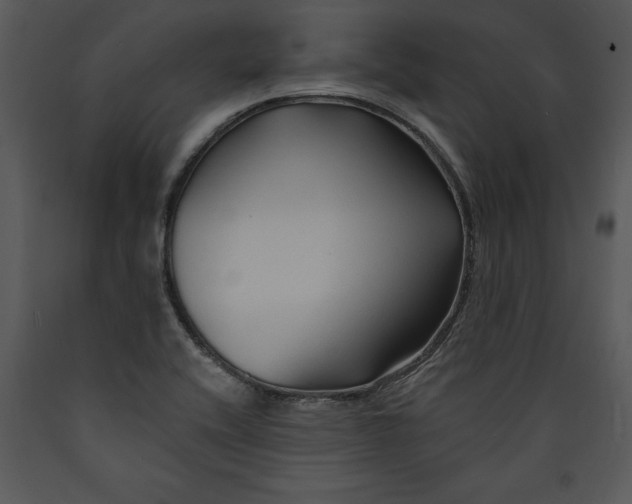 X0000089661416200707191638