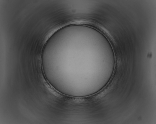 X0000089661417200707191638