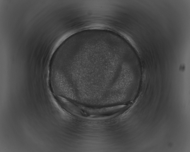 X0000089661418200707191638