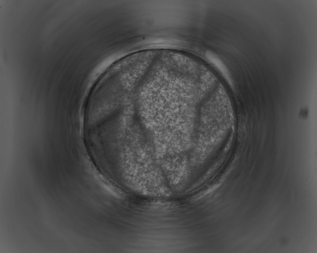 X0000089661419200707191638