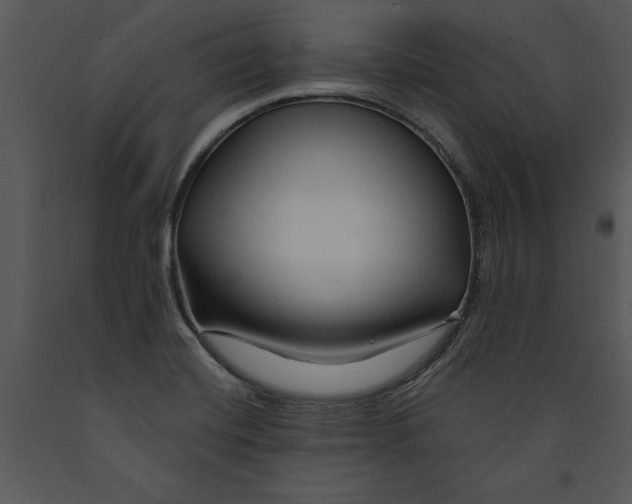 X0000089661420200707191638