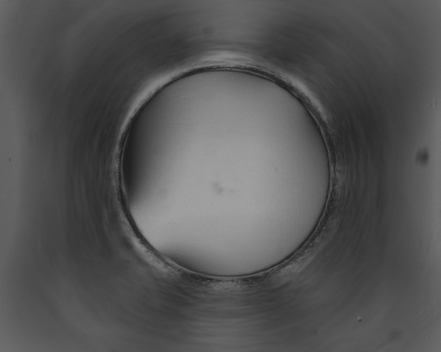 X0000089661421200707191638