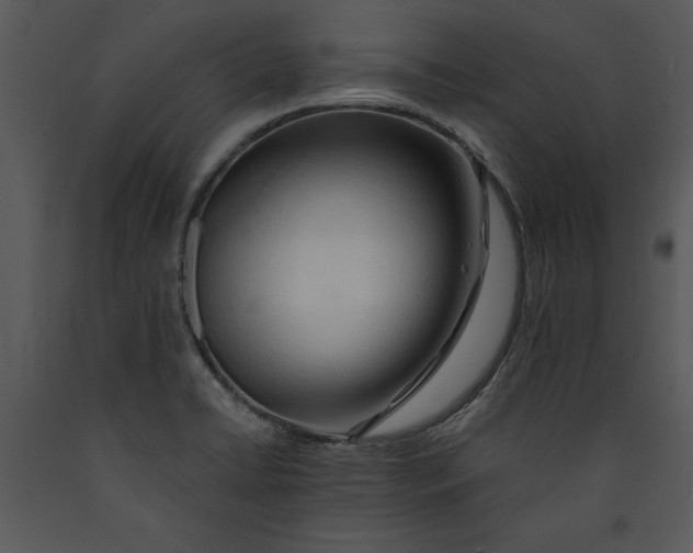 X0000089661422200707191638