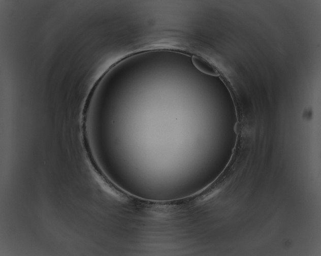 X0000089661423200707191638