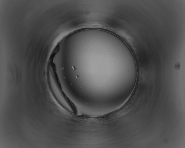 X0000089661424200707191638