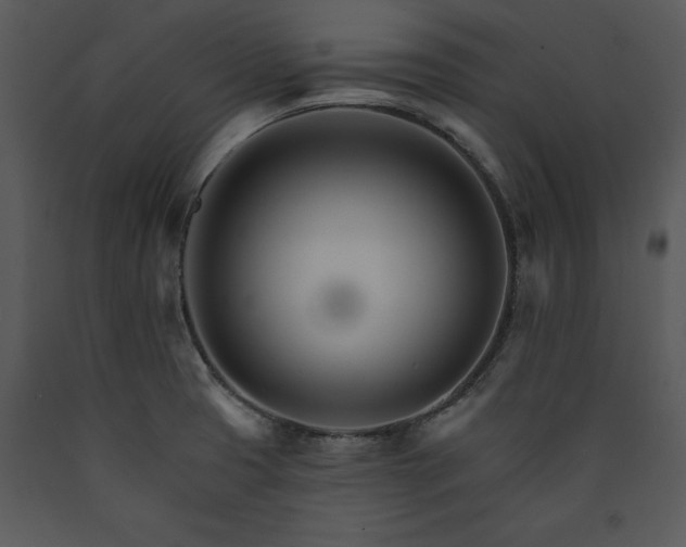 X0000089661425200707191638