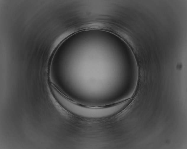 X0000089661426200707191638