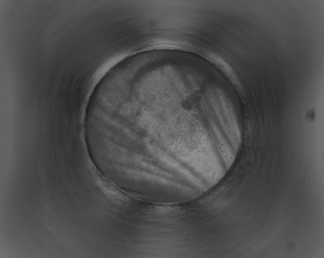 X0000089661427200707191638