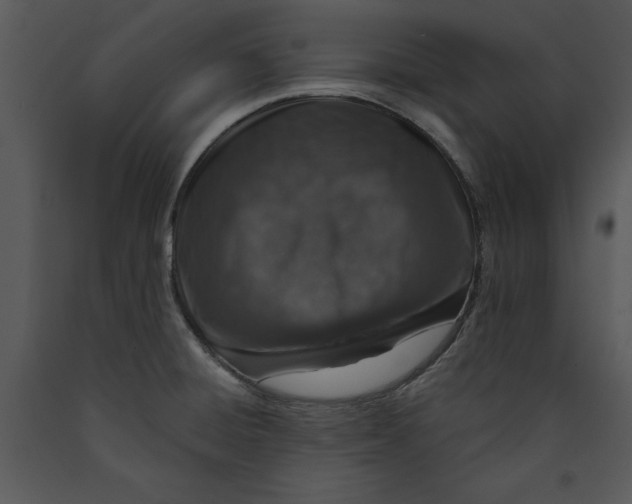 X0000089661428200707191638