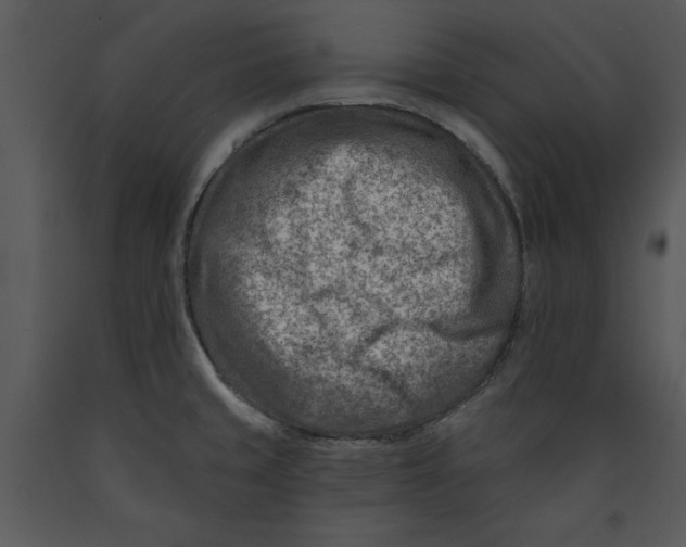 X0000089661429200707191638