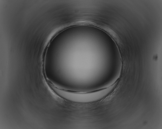 X0000089661430200707191638