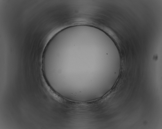 X0000089661431200707191638
