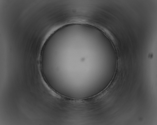 X0000089661432200707191638