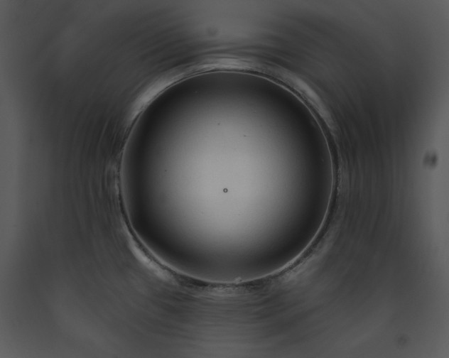 X0000089661433200707191638