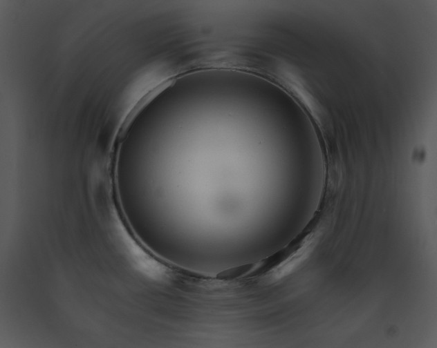 X0000089661434200707191638