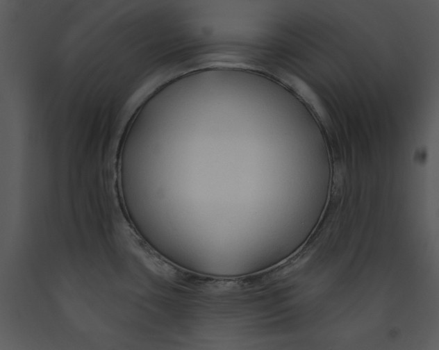 X0000089661435200707191638
