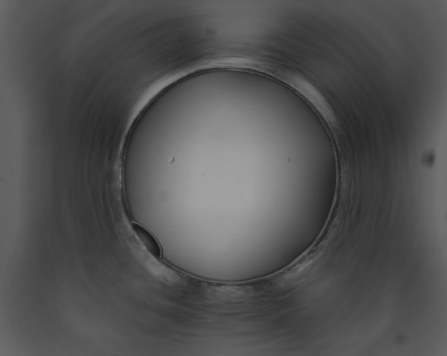 X0000089661436200707191638