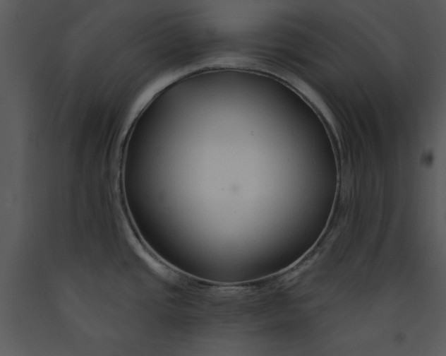 X0000089661437200707191638