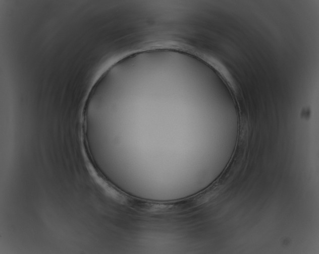X0000089661439200707191639