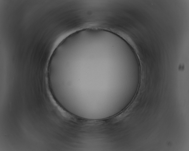 X0000089661440200707191639