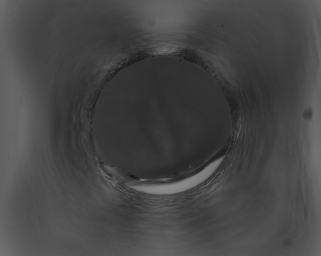 X0000089661441200707191638