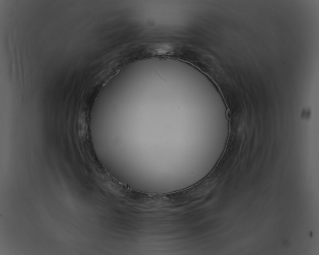 X0000089661442200707191638